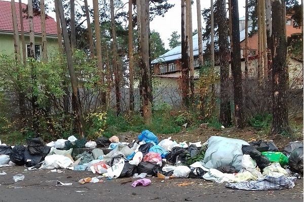 Жители частных секторов продолжают жаловаться на мусорные свалки  - Фото 1