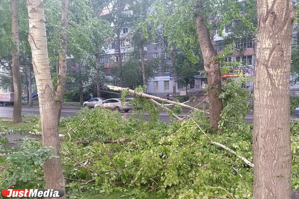 На Свердловскую область вновь обрушится ураганный ветер - Фото 1