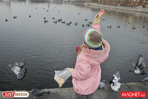 Свердловские родители задолжали по алиментам своим детям более 4 млрд рублей  - Фото 1