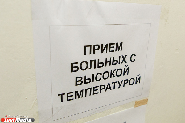 В Свердловской области из-за простуд частично закрыли 26 детсадов и 20 школ - Фото 1