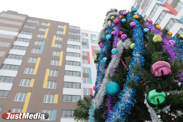 Свердловчанам напомнили, где можно выбросить новогоднюю елку - Фото 1