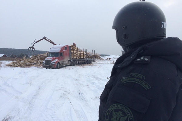 На Урале бизнесмен лишился десяти лесовозов из просроченного долга - Фото 1