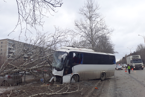 На Объездной дороге водитель автобуса влетел в дерево и погиб  - Фото 1