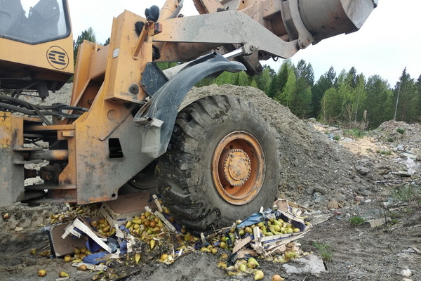 Уральские таможенники уничтожили более тонны южноазиатских груш - Фото 1