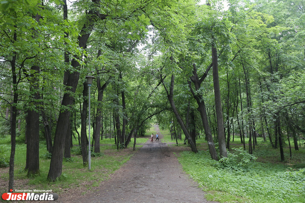 На благоустройства Шарташского лесопарка выделили еще 230 миллионов рублей - Фото 1