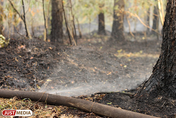 Пожар в пригороде Нижнего Тагила уничтожил деревья на площади 2 га - Фото 1