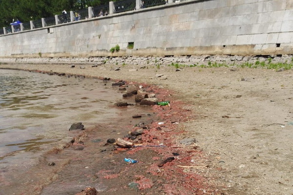 Экологи бьют тревогу: строители Макаровского моста залили Исеть розовой краской - Фото 1