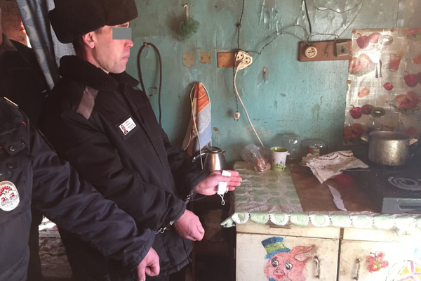 В Камышлове осудили местного жителя, который зарезал сожителя матери - Фото 1