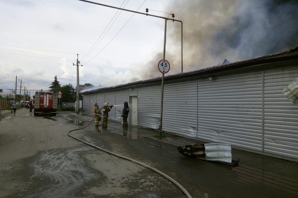 Пожарные потушили горящую «Пятерочку» в Косулино - Фото 1