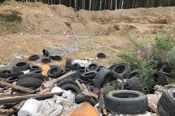 Уральские депутаты нашли несанкционированную свалку в Нижне-Исетском лесопарке - Фото 1