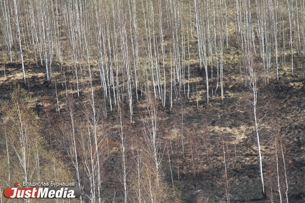 На территории Иркутской области потушены все лесные пожары - Фото 1