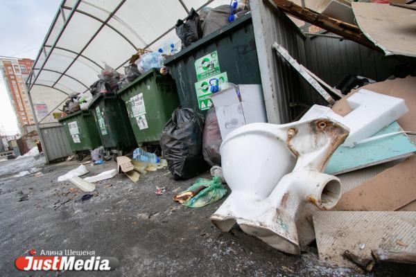 Депутаты Екатеринбурга попросили Куйвашева освободить детей из многодетных семей от платы за вывоз мусора - Фото 1