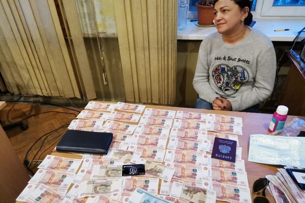 В Екатеринбурге задержали мошенницу, которая продала квартир на десятки миллионов рублей  - Фото 1