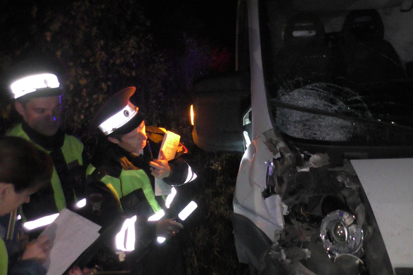 В Свердловской области ночью водитель пассажирской «Газели» насмерть сбил пешехода - Фото 1