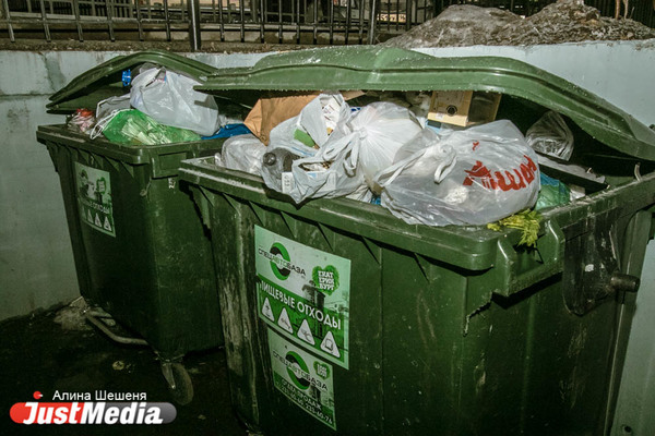 Орлов потребовал от свердловских мэров обеспечить муниципалитеты мусорными контейнерами - Фото 1