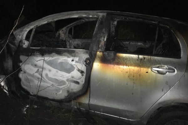 По Тугулымом водитель малолитражки сгорел заживо после столкновения с опорой моста - Фото 1