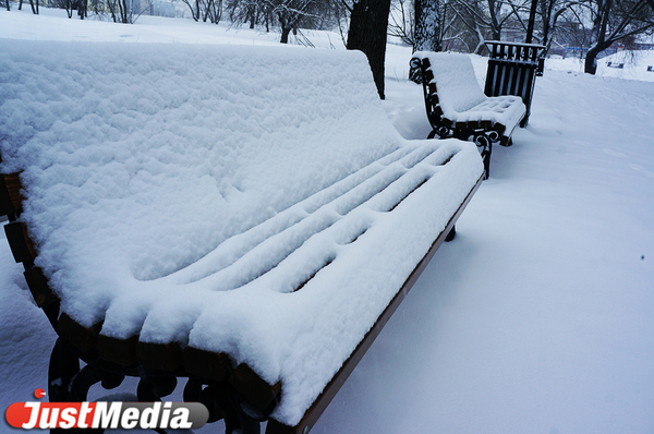 Высота снежного покрова в Свердловской области достигла 20 сантиметров  - Фото 1