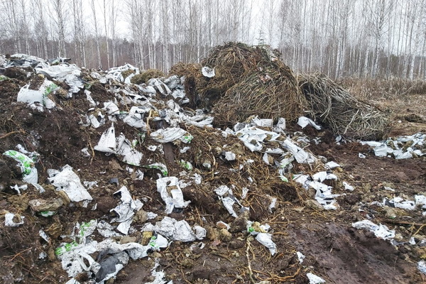 В Березовском появился новый мусорный полигон, несмотря на запрет минЖКХ - Фото 1