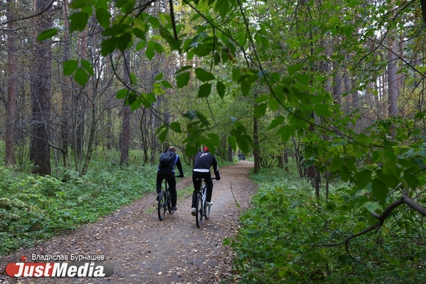 Эксперты готовят зеленый каркас для Екатеринбурга - Фото 1