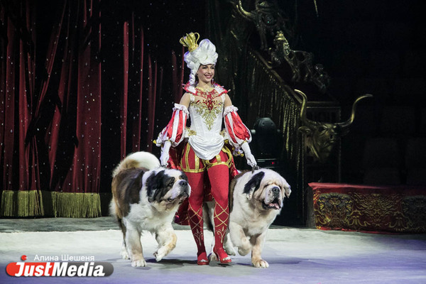 «Королевский цирк» Гии Эрадзе покажет в Екатеринбурге несколько новых трюков - Фото 1