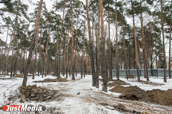 В мэрии Екатеринбурга рассказали, где появятся новые светофоры и какие «зеленые» территории благоустроят  - Фото 1