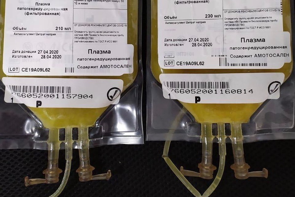 Семь свердловчан, переболевших коронавирусом, сдали донорскую плазму - Фото 1