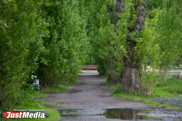 Как живут парки и скверы в Екатеринбурге после открытия - Фото 1
