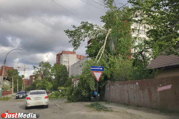 Куйвашев взял под особый контроль устранение последствий урагана на Среднем Урале - Фото 1
