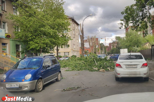 Куйвашев дал мэрам сутки на расчистку городов от упавших деревьев - Фото 1