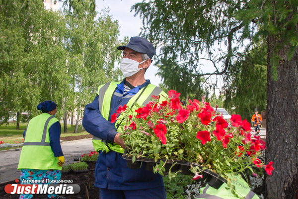 Городские службы начали украшать Екатеринбург цветами - Фото 1