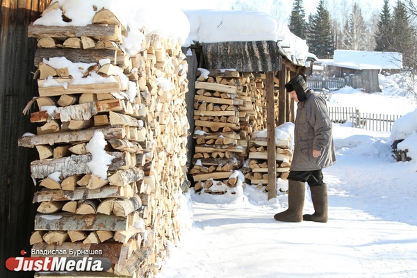 Свердловчане попросили Куйвашева открыть лесхозы, чтобы не остаться без дров к зиме - Фото 1