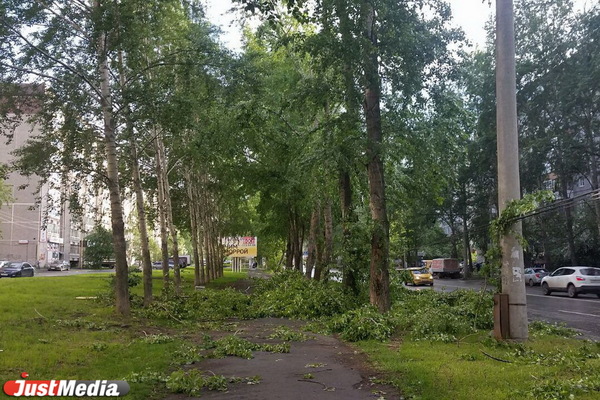 В Свердловской области объявили штормовое предупреждение - Фото 1