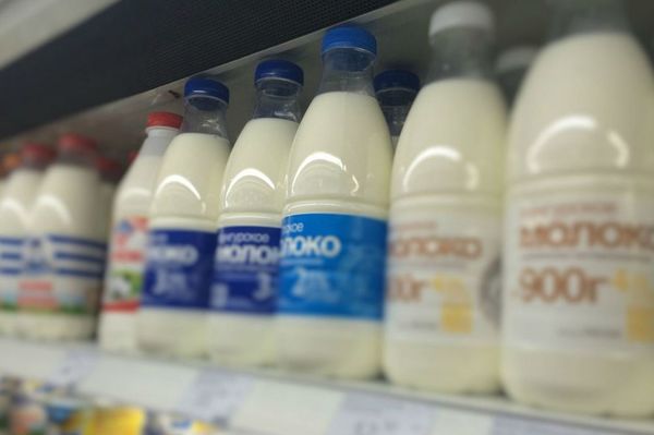 Несмотря на пандемию, в регионе выросло производство молока - Фото 1