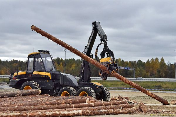 До каждой щепки: на Среднем Урале сделали ставку на глубокую переработку древесины - Фото 1