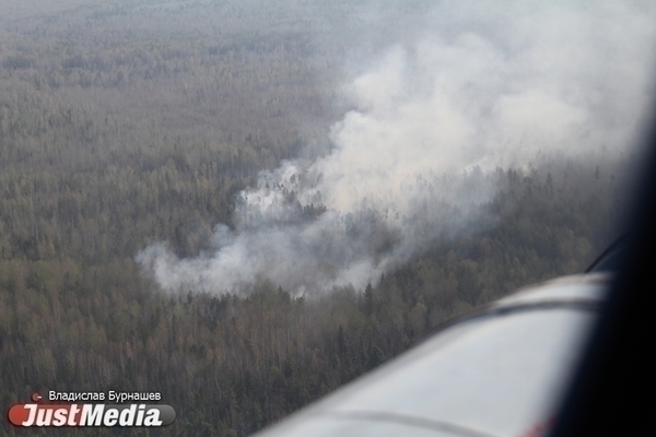 В Свердловской области из-за лесного пожара эвакуировали жителей  коллективного сада, а также двух баз отдыха - Фото 1