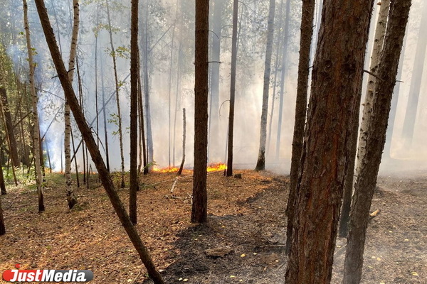 Площадь возгорания около озера Глухого в Свердловской области за сутки увеличилась на треть - Фото 1