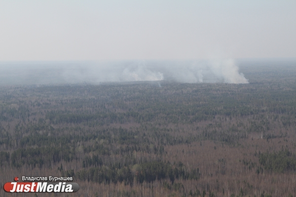 В Свердловской области за сутки потушили 19 лесных пожаров - Фото 1