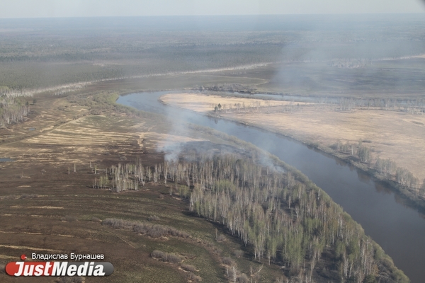 В Свердловской области потушили один из крупнейших лесных пожаров - Фото 1