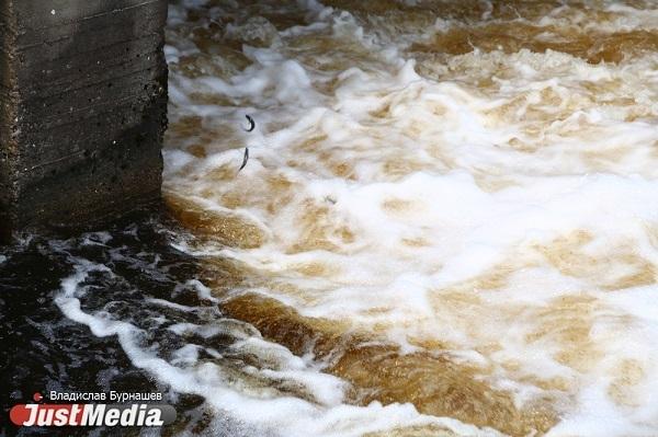 В Сочи река Восточный Дагомыс вышла из берегов - Фото 1