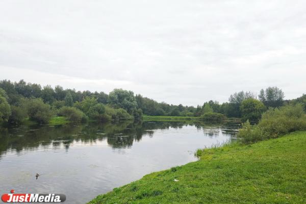 В Свердловской области выделят более 9 млрд на экологию - Фото 1