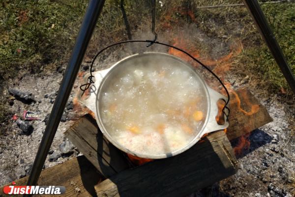 С 15 апреля в Свердловской области нельзя будет жарить шашлыки и жечь костры - Фото 1