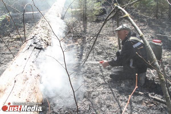 В Свердловской области за сутки потушили лесные пожары на площади 400 га - Фото 1