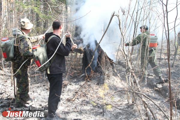 На севере Свердловской области ветер перебросил пламя лесного пожара через реку - Фото 1