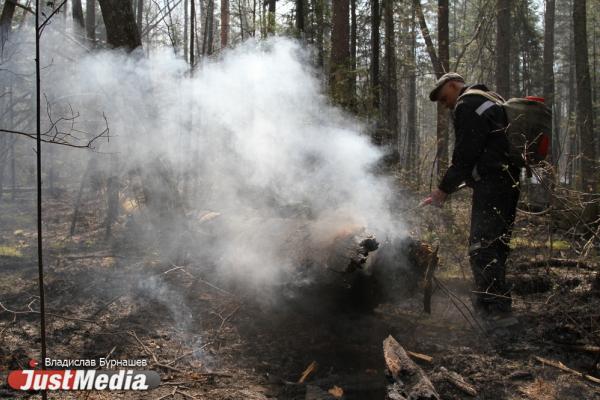 В Свердловской области за сутки потушили 15 лесных пожаров - Фото 1