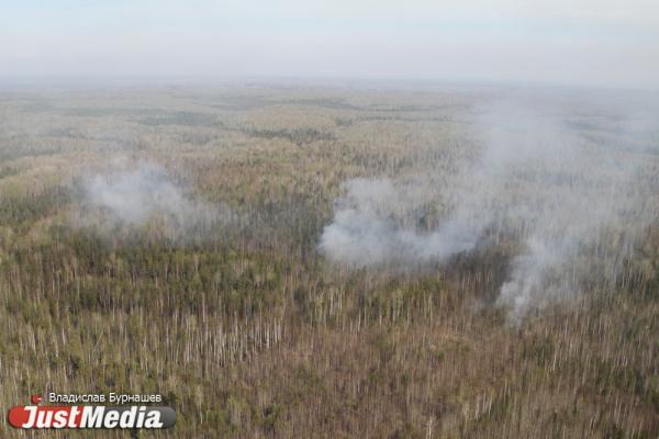 В Свердловской области за сутки потушили две трети лесных пожаров - Фото 1