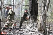 Пожароопасный сезон начнется в Свердловской области на неделю раньше