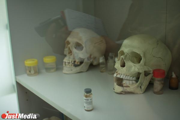 В Верх-Исетском пруду нашли скелет человека - Фото 1