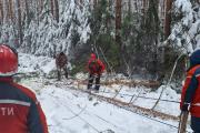 Свердловские энергетики сняли с линий электропередачи более 1,5 тысяч деревьев