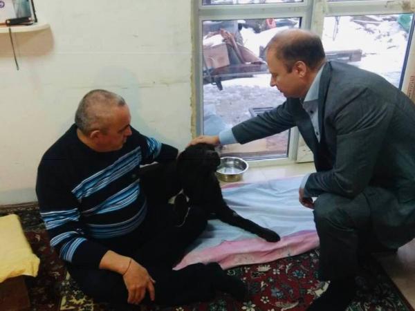 Свердловские власти и депутаты решили собрать деньги на реабилитацию сбитого пса-поводыря из Березовского - Фото 2