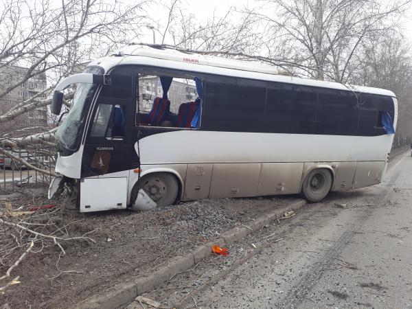 На Объездной дороге водитель автобуса влетел в дерево и погиб  - Фото 3
